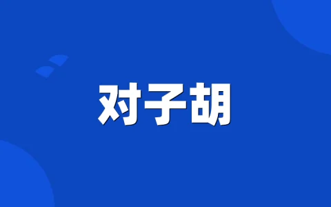 对子胡